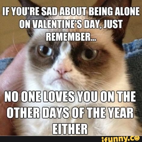 IF YOU'RE SAD ABQUT BEING ALONE ON VALENTINE'S DAY, JUST REMEMBER... NO ...