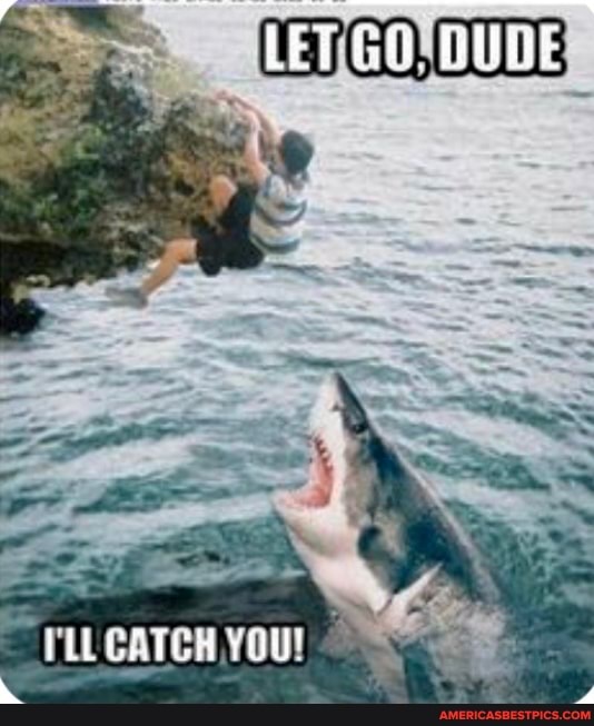 FLL CATCH YOU!