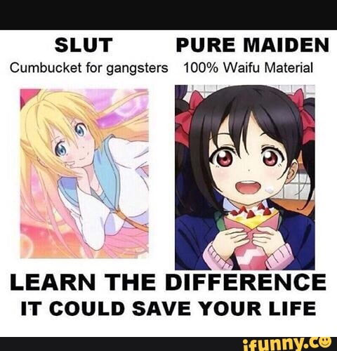 Your waifu is a slut