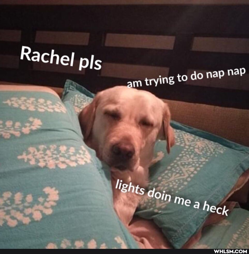 Rachel pls
ap nap ing, to do trying an
lighes doin heck