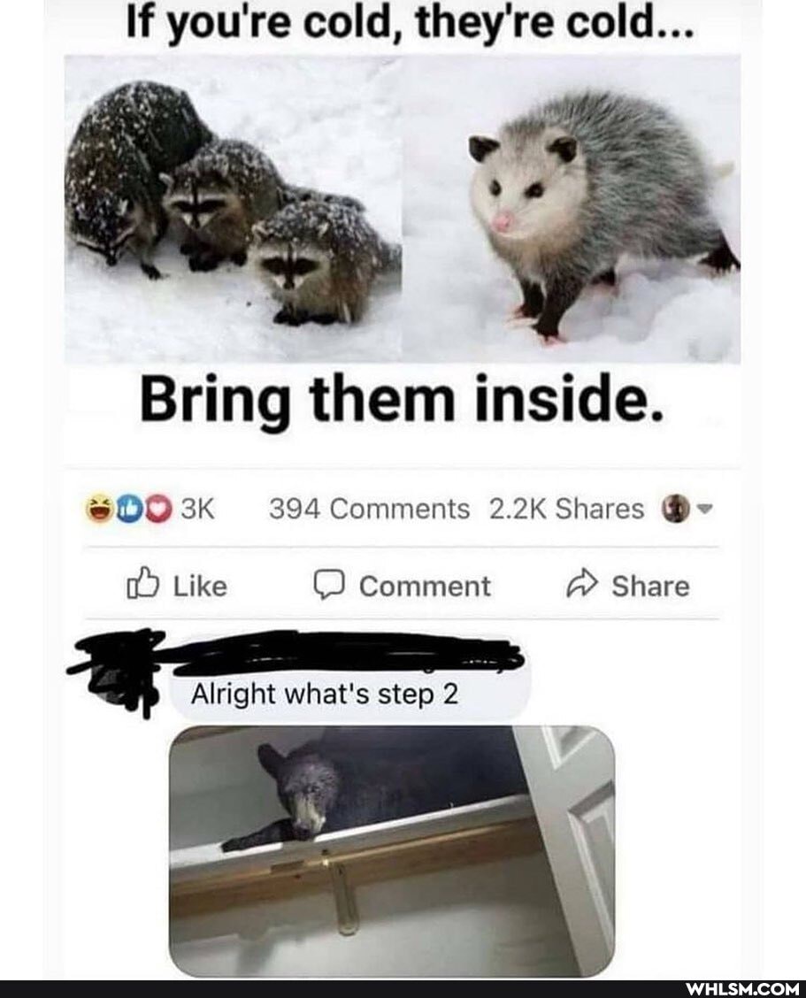 If you're cold, they're cold...
fe,
Bring them inside.
$00 Comments 2.2K Shares
Like Comment Share
Alright what's step 2