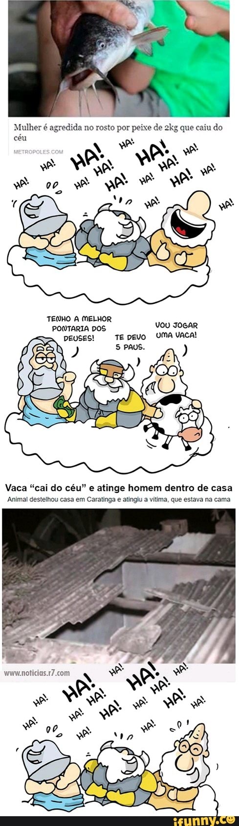 Mulher é agredida no rosto por peixe de que caiu do
céu
TENHO A MELHOR
VOU JOGAR TE DEVO UMA VACA!
Vaca "cai do céu" e atinge homem dentro de casa
Animal destelhou casa em Caratinga e atingiu a vitima, que estava na cama