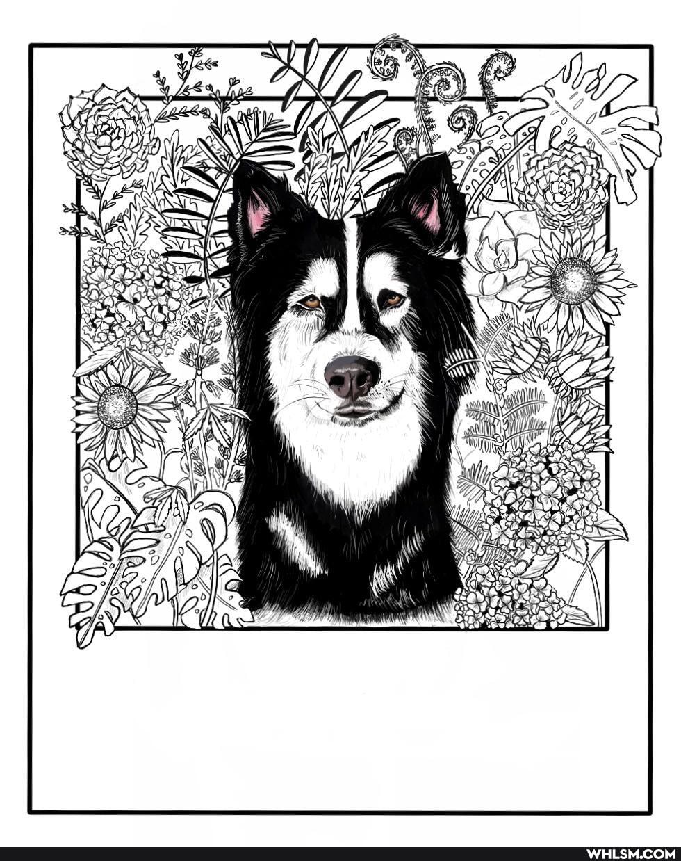 art, dog, nature, digital_art