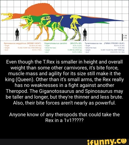 Even though the T.Rex is smaller in height and overall weight than some