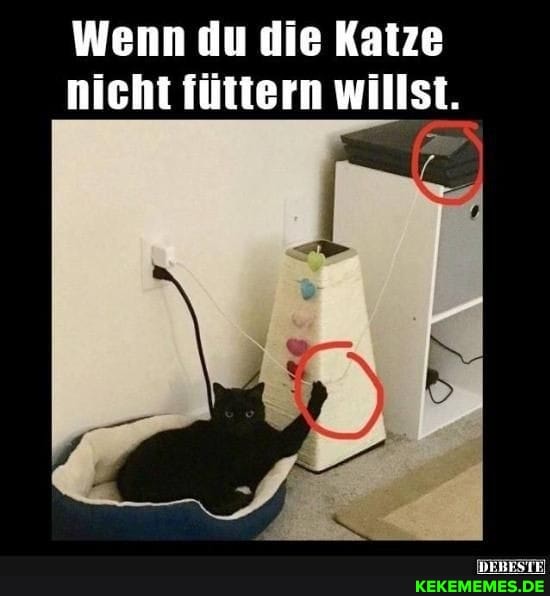 Wenn du die Katze nicht füttern willst.
ERSTE