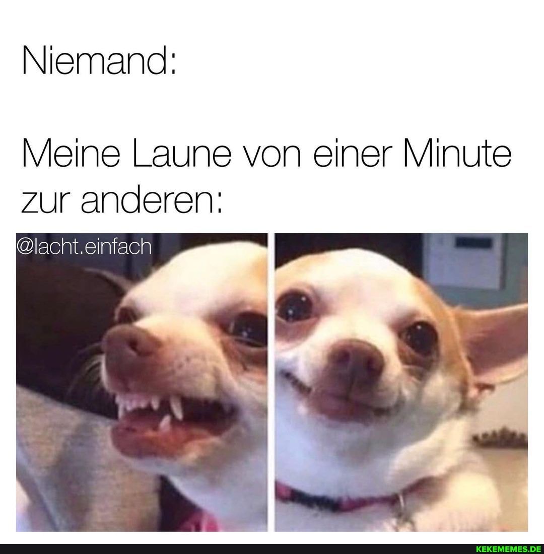Niemand:
@lacht.cinfach
Meine Laune von einer Minute zur anderen: