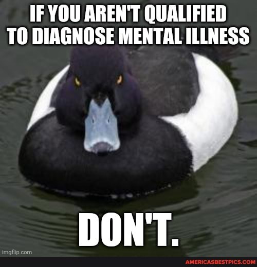 IF YOU AREN'T QUALIFIED TO DIAGNOSE MENTAL ILLNESS
DON'T.