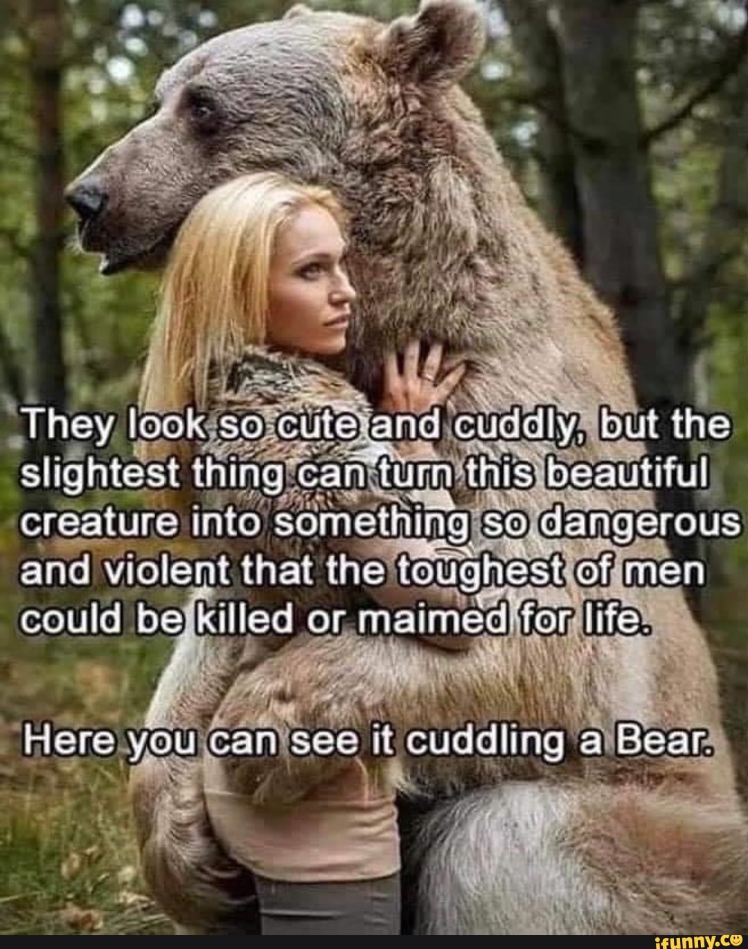 They looks ore cute) and
cay but the
'slightest thing? 'canttum this) beautiful
creature into. something) SO) dangerous
and Violent that the' toughest ofimen
ago A
Ñ
é Mayen can isee it cuddling all ear
Sse
