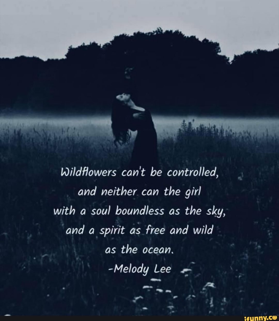 wildflowers-can-t-be-controlled-and-neither-can-the-girl-with-a-soul