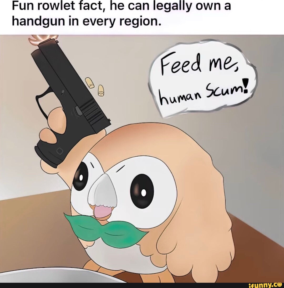 Fun rowlet fact, he can legally Own handgun in every region. - iFunny