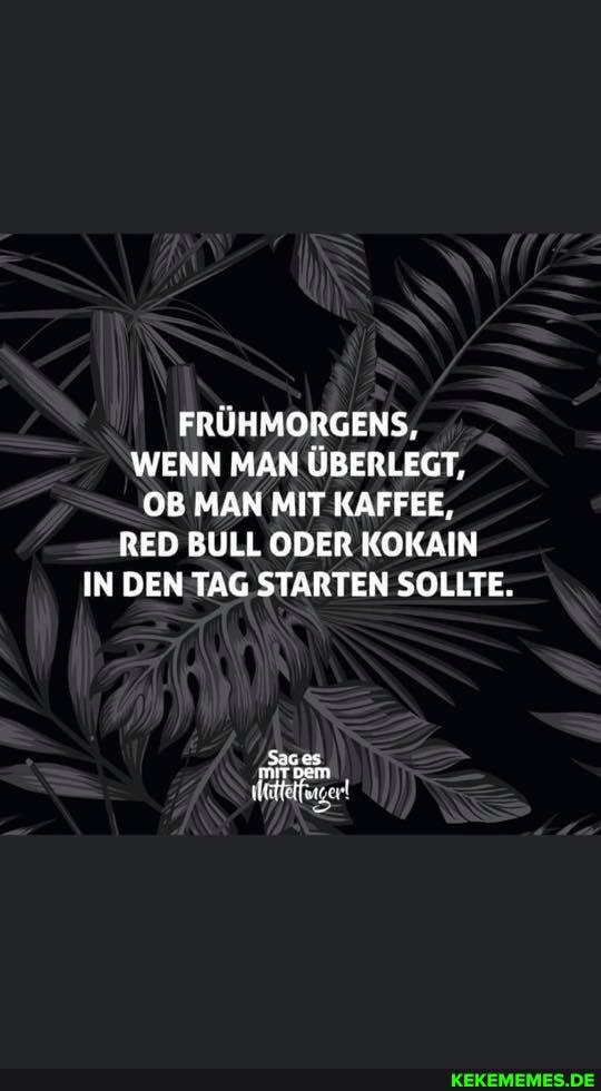FRÜHMORGENS,
WENN MAN ÜBERLEGT,
OB MAN MIT KAFFEE,
RED BULL ODER KOKAIN IN DEN TAG STARTEN SOLLTE.
Saces