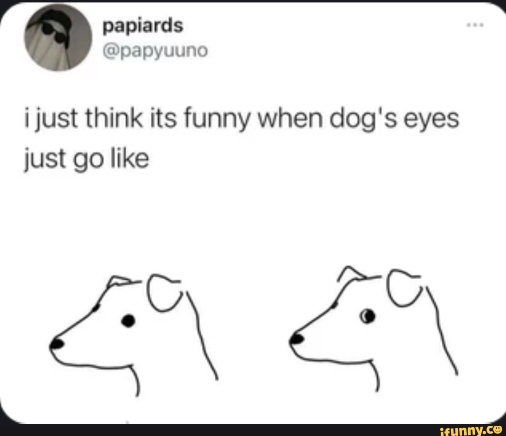 Picture memes mkcit0n0A by sandrado )