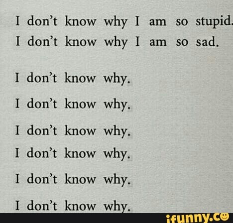 I Don T Know Why I Am So Stupid I Don T Know Why I Am