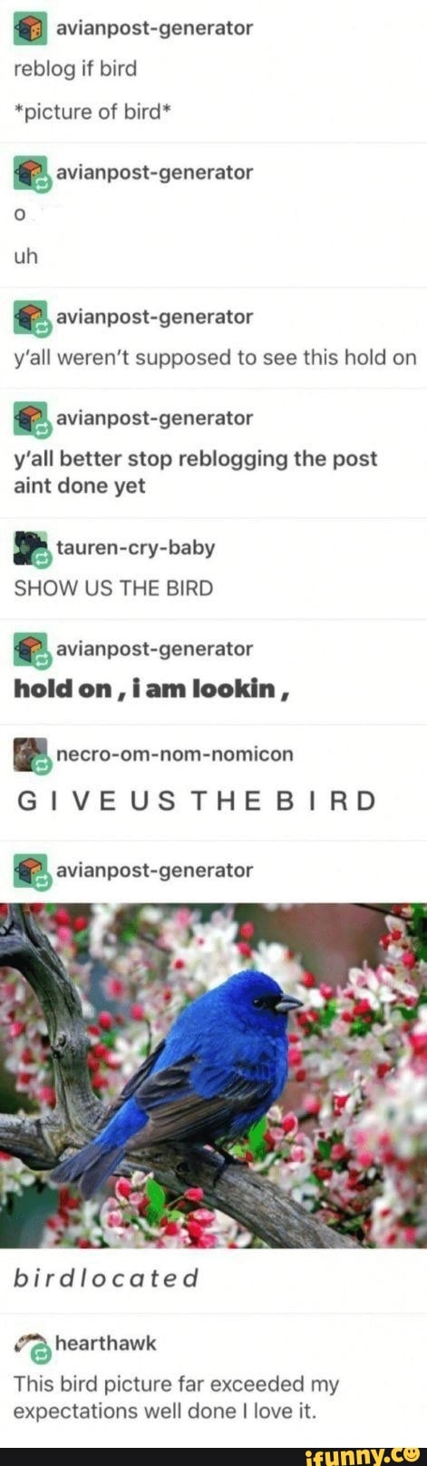 e avianpost-generator
reblog if bird
*picture of bird*
e avianpost-generator
o
a avianpost-generator
y'all weren't supposed to see this hold on
€ avianpost-generator
y'all better stop reblogging the post
aint done yet
OB tauren-cry-baby
SHOW US THE BIRD
a avianpost-generator
hold on, iam lookin,
E necro-om-nom-nomicon
GIVEUSTHEBIRD