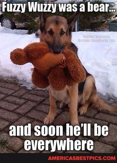 Fuzzy Wuzzy was a hears
and soon he'll be
