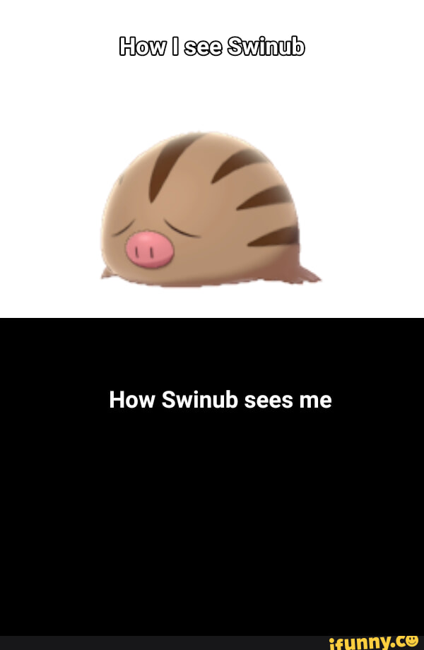 Swinub used Scary Face! tiny can derpface learn Scary like you can learn Scary  Face? Ursaring's Speed harshly fell! - iFunny Brazil