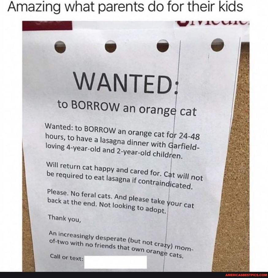 1 what parents do for their kids
Amazing what parents d
e es
WANTED
to BORROW an orange cat
Wanted: to BOR
hours,
loving 4-year-
ROW an Orange cat for 24.
T with Garfield- loving old and 2-year-old children,
Will be return cat required to happy eat and lasagna Cared if for. con' Cat will not be required to eat lasagna if con' icated,
train, icated,
Please. No fe ral cats. And
ral cats. And
Not back at the end,
Please take your cat nd. Not looking to adopt,
Thank you,
An increasingly desperate no ther (but Not cra, own oran, mo, with no friends that oran,
BE cats,
Call or text: