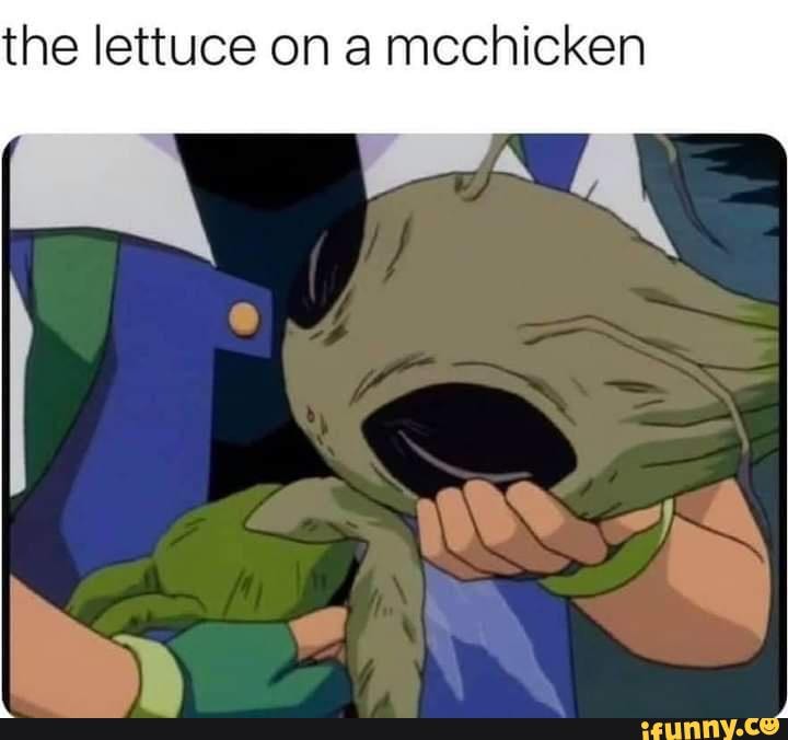 Lettuce memes. Best Collection of funny Lettuce pictures on iFunny