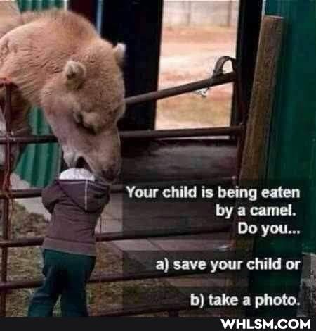 Your child is being eaten by a camel.
Do you...
a) save your child or I
hh) fake a nhatnn