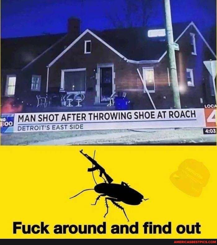 MAN SHOT AFTER THROWING SHOE AT ROACH
DETROIT SEA SIDE
Fuck around and find out
