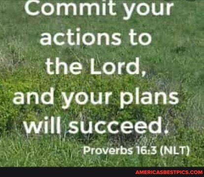 Commit your actions to the Lord, and your plans will succeed,
'Proverbs