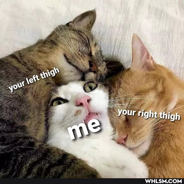 your right thigh