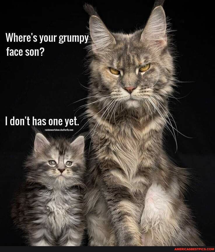 Where's your grumpy face son?
inbwastonshtty com
don't has one yet.