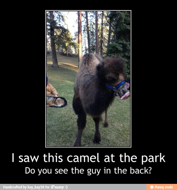 Do you see the guy in the back? - I saw this camel at the park
Do you see the guy in the back?