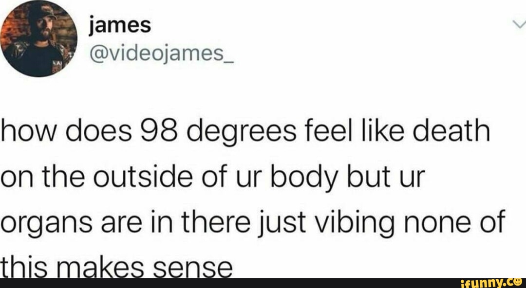 videojames_ how does 98 degrees feel like death on the outside of ur body  but ur organs are in there just vibing none of this makes sense - iFunny
