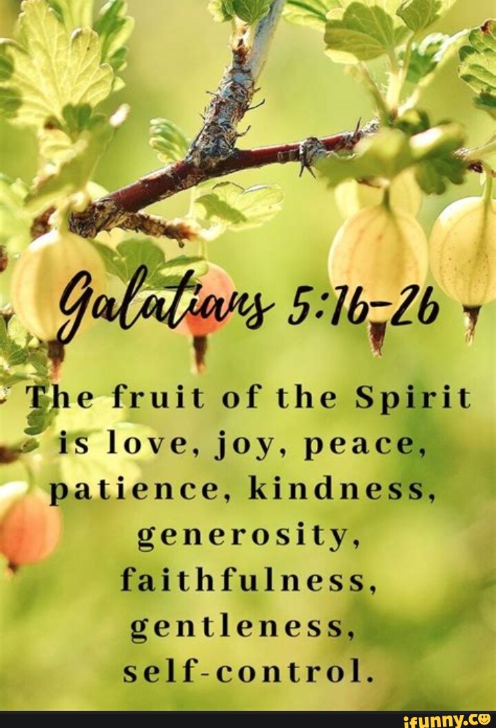 Ox Lb 7 "The fruit of the Spirit is love, joy, peace, patience ...