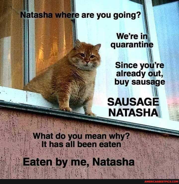 ie are you going?
Since you're already out, buy sausage
SAUSAGE
NATASHA,
What do you mean why? has all been eaten.