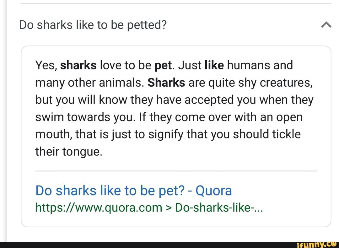 Do Sharks Like To Be Petted Yes Sharks Love To Be Pet Just Like 1 