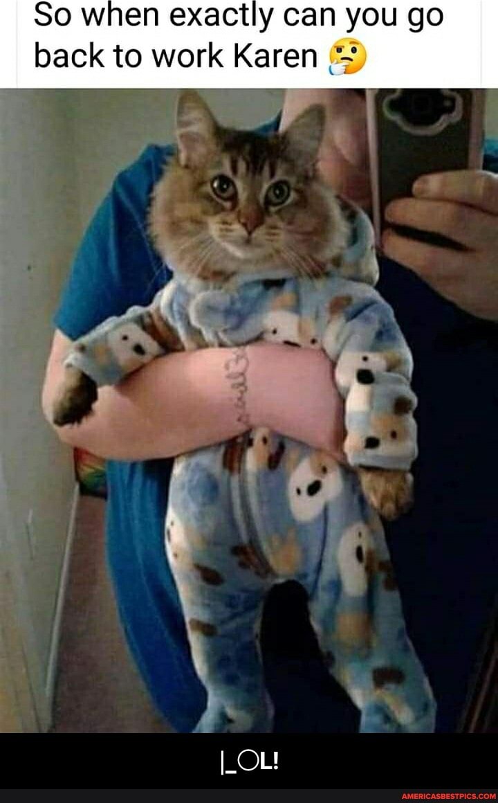 So when exactly can you go back to work Karen
I_OL! - |_○L!