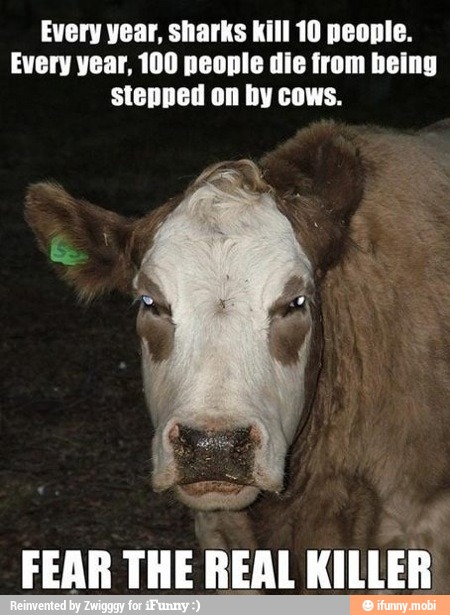 Every year, sharks kill 10 people.
Every year, 100 people die from being
stepped on by cows.
unen
FEAR THE REAL
KILLER