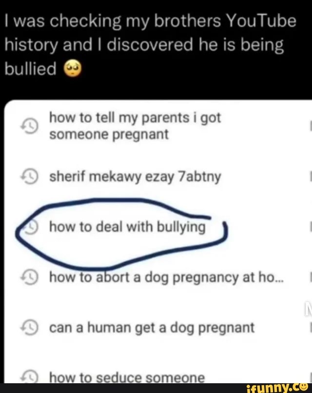 can you abort a dog pregnancy