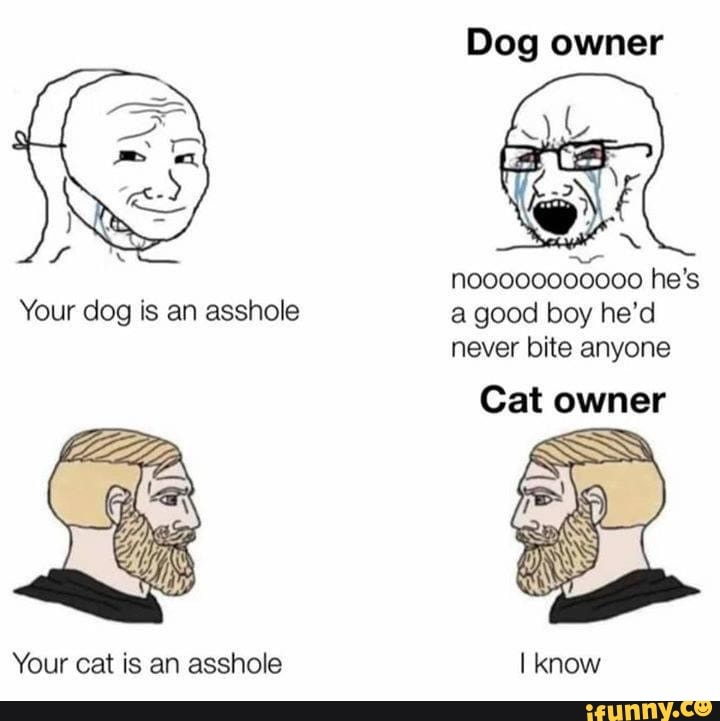 Your cat is an asshole
Dog owner
noooo00000000 he's a good boy he'd never bite anyone
Cat owner
I know