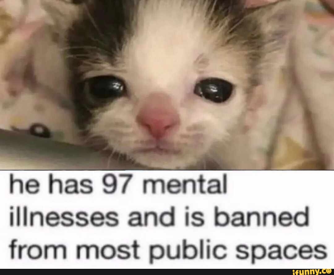 'he has 97 mental illnesses and is banned from most public spaces )