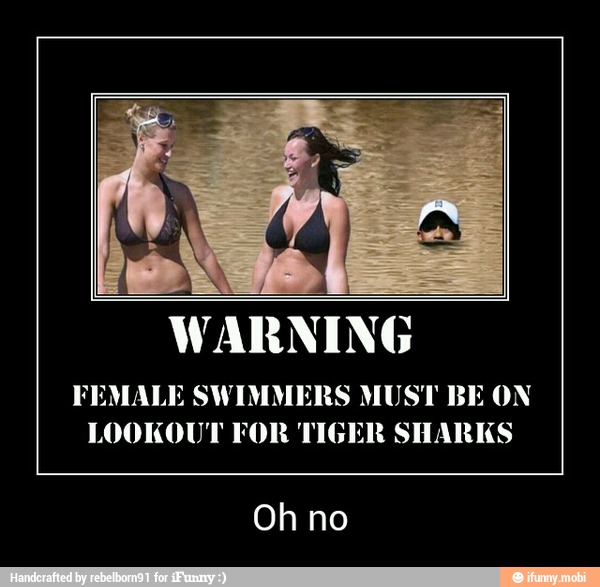 FEMALE SWIMMERS MUST BE ON
LOOKOUT FOR TIGER SHARKS
Oh - Oh no
