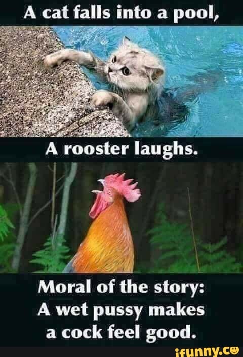 A cat falls into a pool,
rooster laughs.
'Moral of the story:
A wet pussy makes a cock feel good.