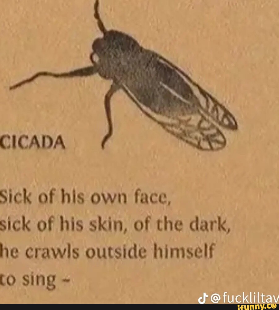 CICADA Sick of his own face, sick of his skin, of the dark, he crawls ...