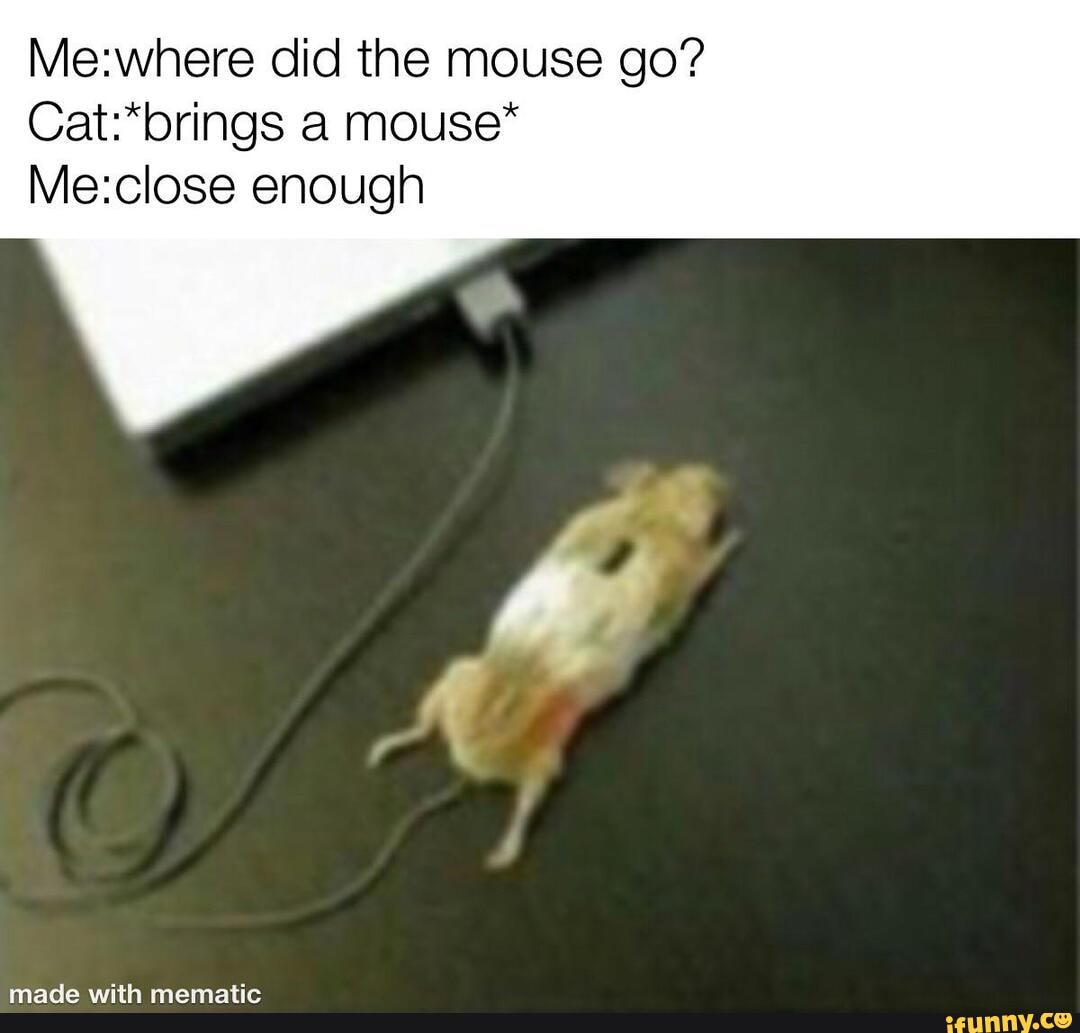 Did the mouse go? a mouse* enough - iFunny