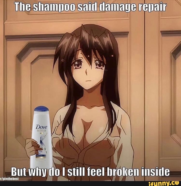 The shampoo said damage repair
__But why do still feet broken inside