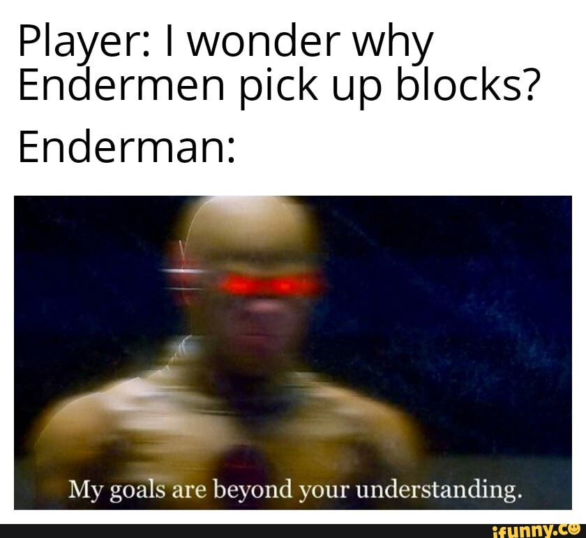 Player I wonder why Endermen pick up blocks? Enderman My goals are