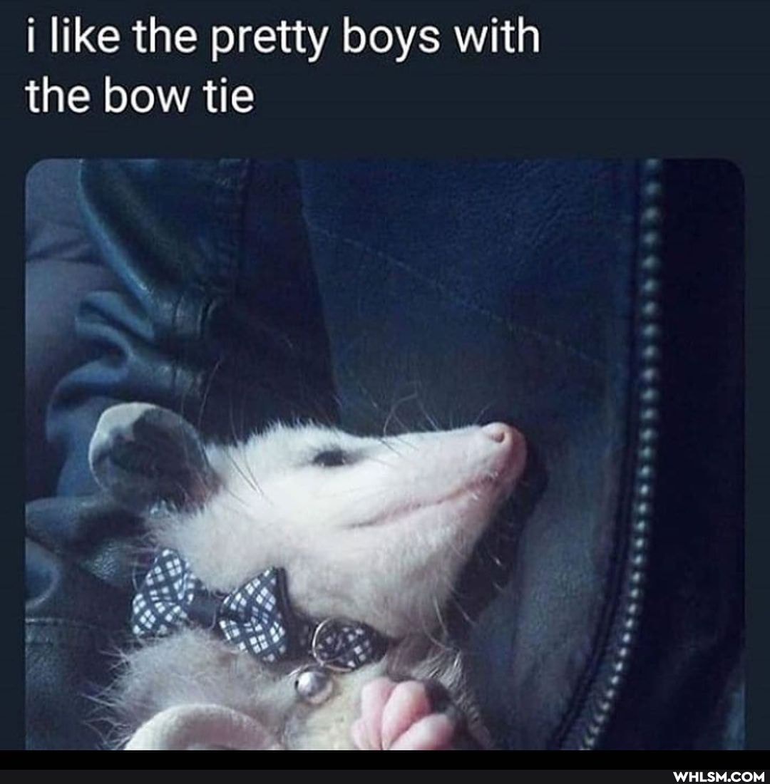 i like the pretty boys with the bow tie
oe y