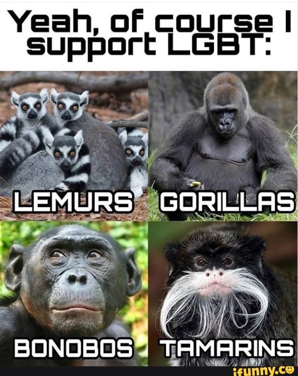 Yeah, of course I support LGBT:
LEMURS GORILLAS
BONOBOS'
TE