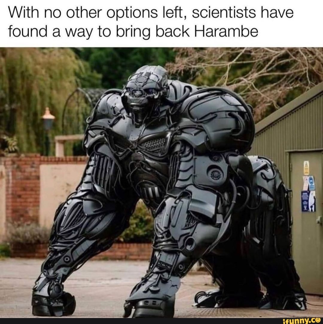 With no other options left, scientists have found a way to bring back Harambe
AS