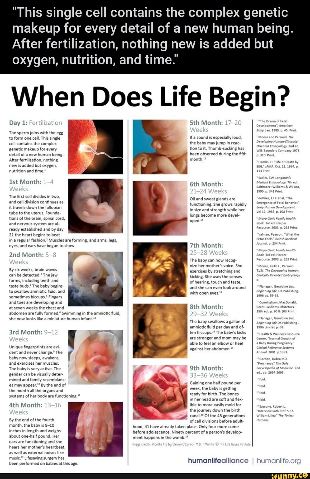 'This single cell contains the complex makeup for every detail