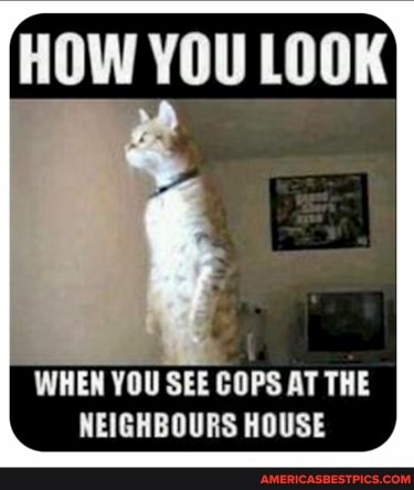 YOU LOOK
WHEN YOU SEE COPS AT THE NEIGHBOURS HOUSE