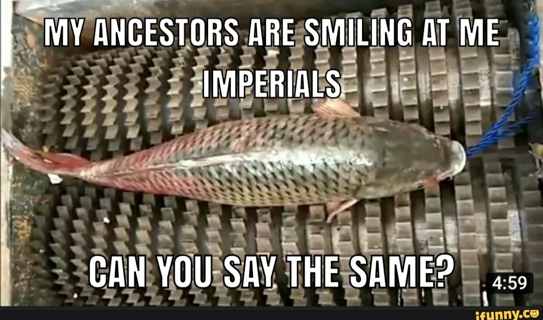 my ancestors are smiling at me imperials
