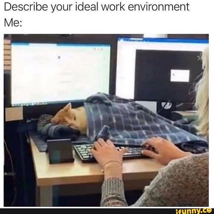 describe-your-ideal-work-environment-me-ifunny